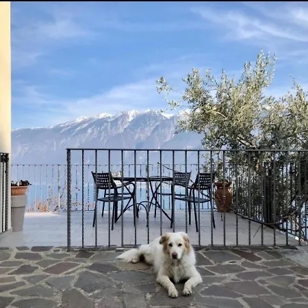 Ciliegia Apartmán *