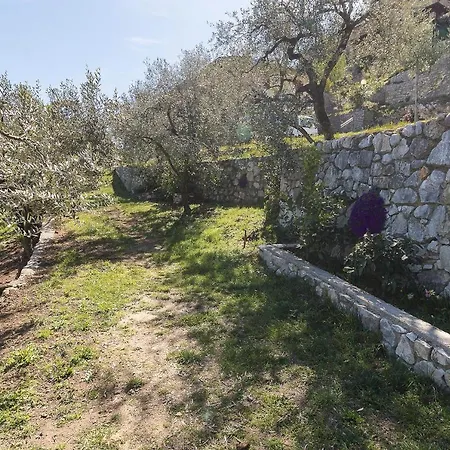 Apartmán Ciliegia *